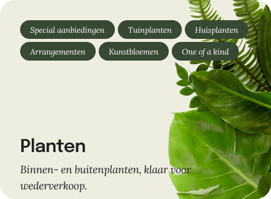 Plants offers tile